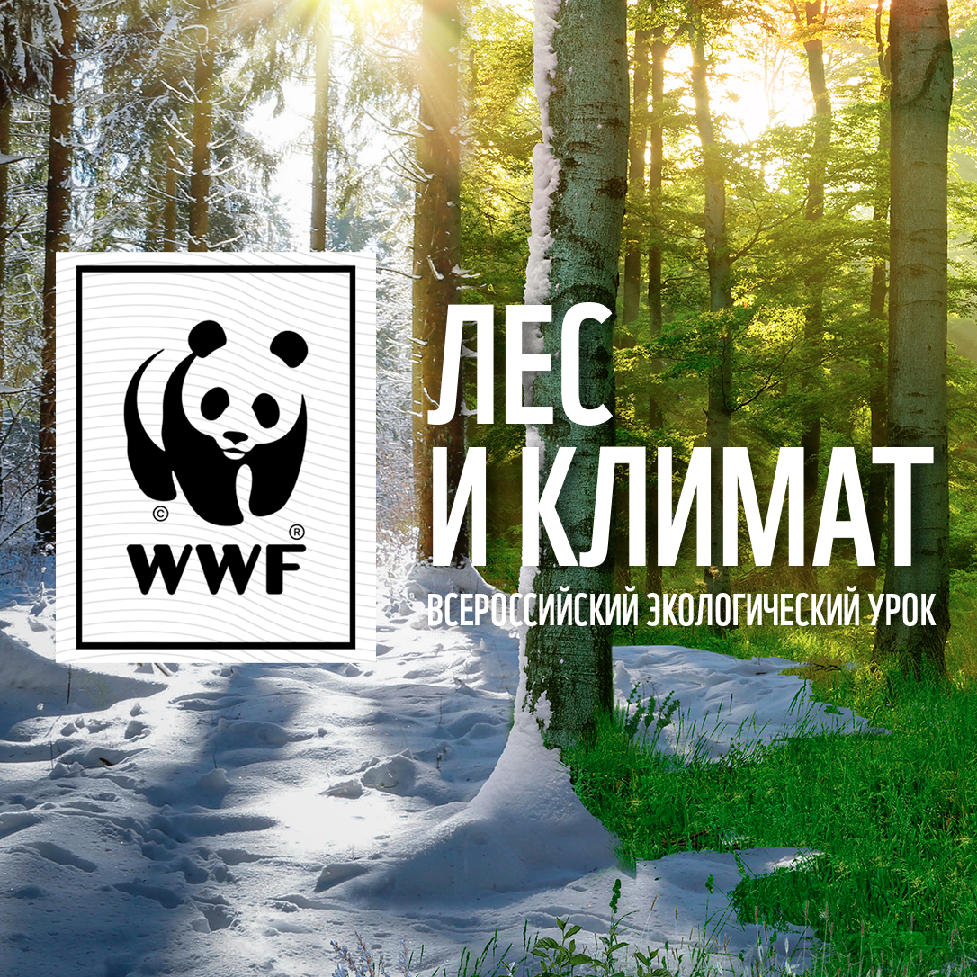 Программа лес. Фонд дикой природы в России. WWF России. Всемирный фонд дикой природы WWF реклама. WWF акции.